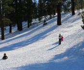 Sledding in Mono County